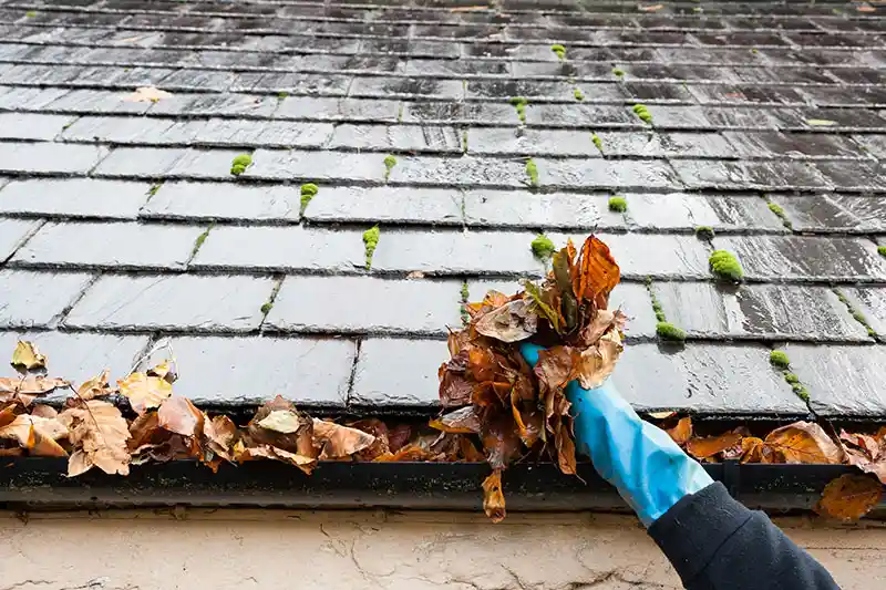 Residential gutter cleaning sutton coldfield